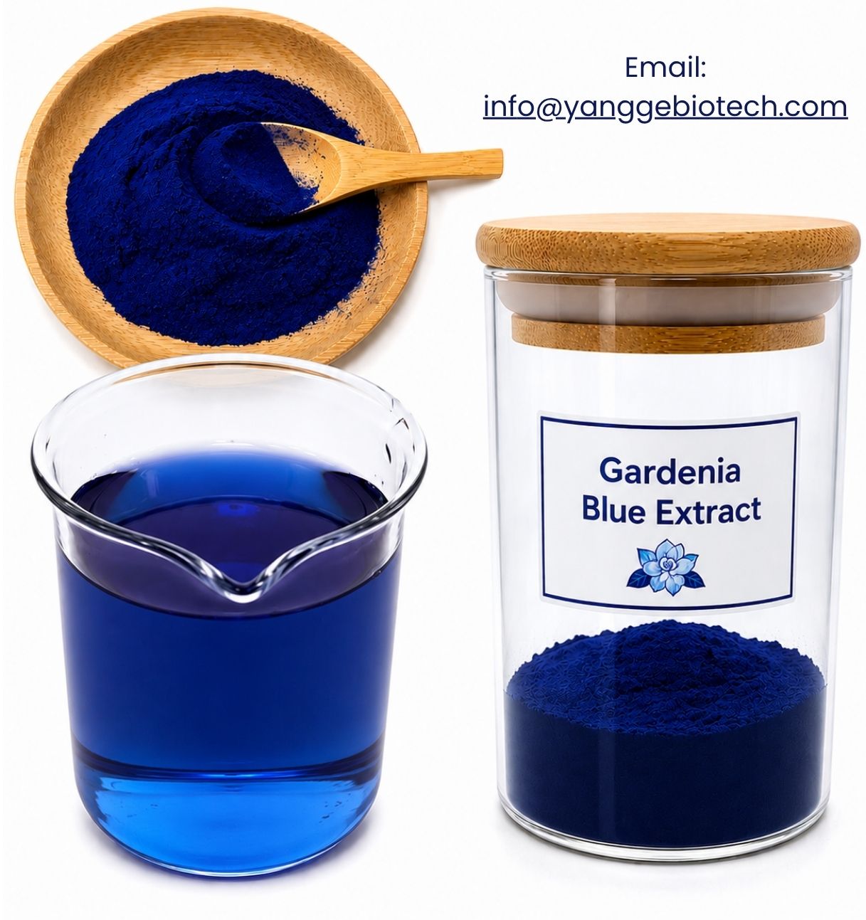 Gardenia Blue Extract 
